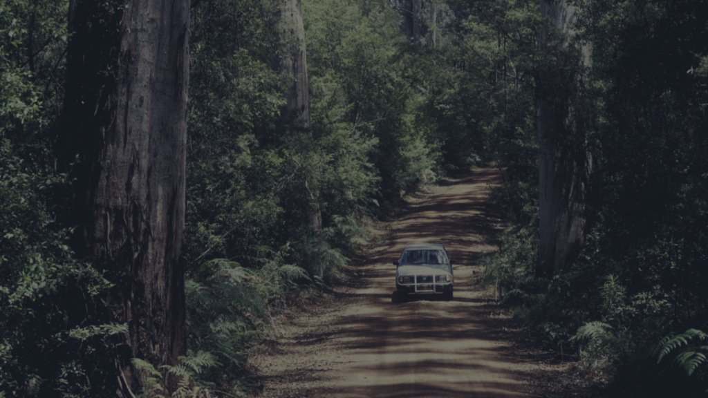We Are Here To Help You Understand Your Insurance